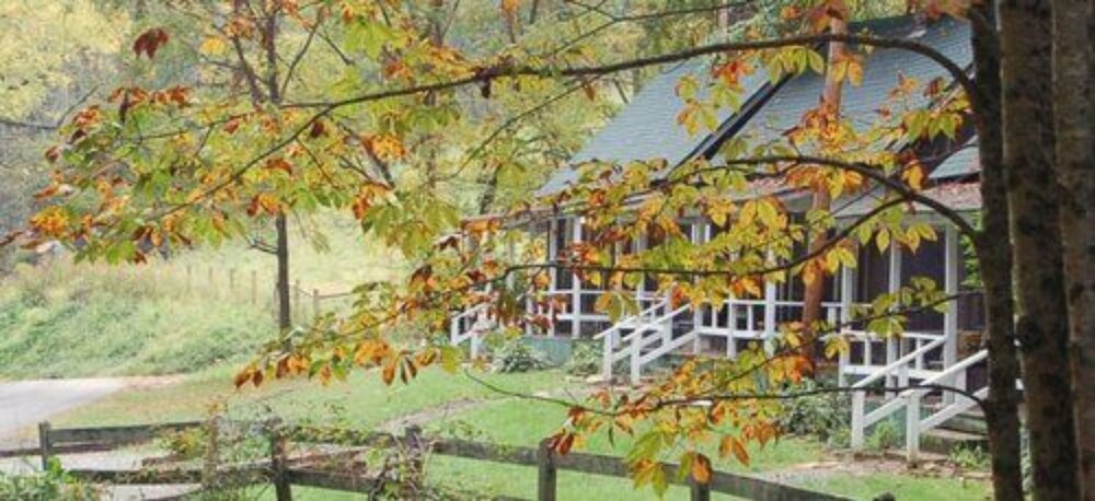 The Cabins at Healing Springs - photo 44
