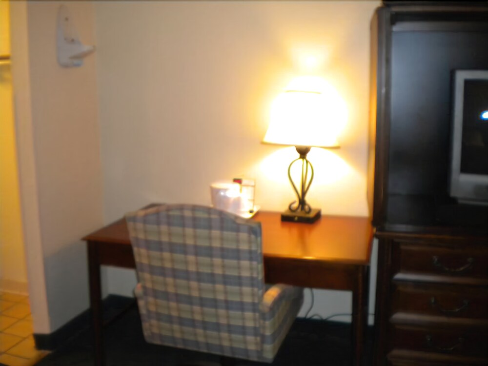 Bossier Inn and Suites - photo 21