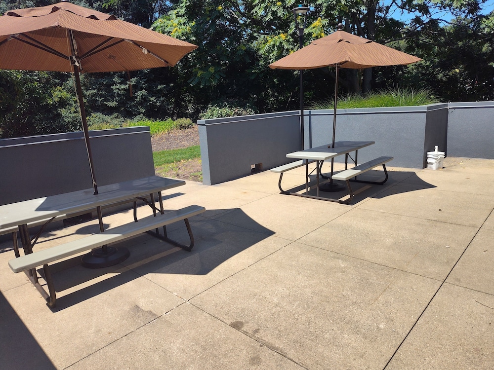 Spark by Hilton Stevensville - photo 68