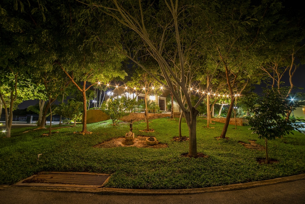 Garden view