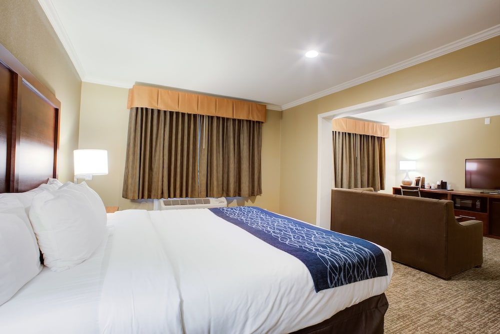 Comfort Inn Sunnyvale Silicon Valley - photo 18