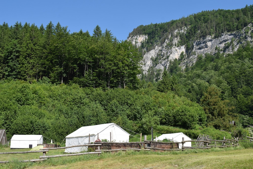 Wild Glamping In The Vienna Alps — Schwarzau Im Gebirge