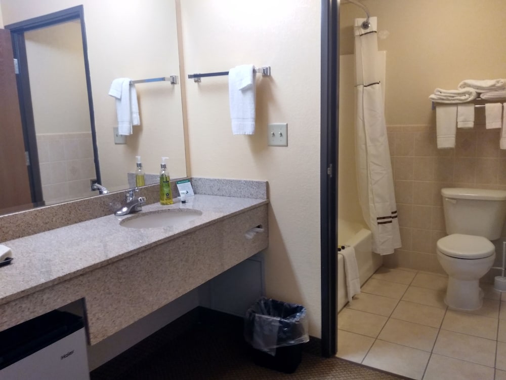 Madelia Hotel & Suites - photo 46