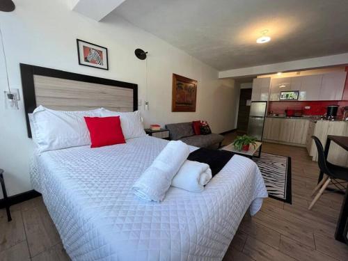 DST1 Convenient studio in zone 15 — 4-Star Luxury Hotel in Guatemala City, Guatemala