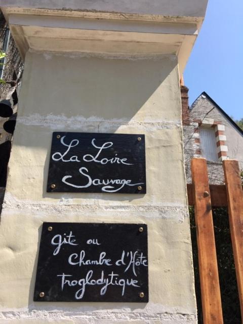 Troglodytes Loire Sauvage — hotel in Rochecorbon