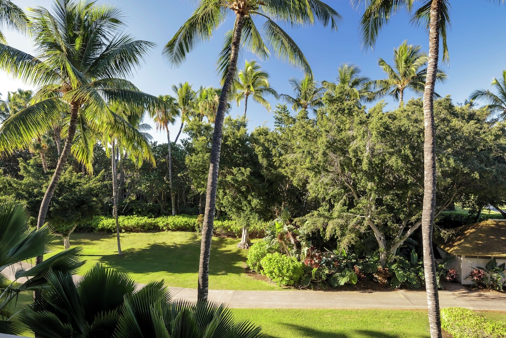 Fairmont Orchid - photo 47