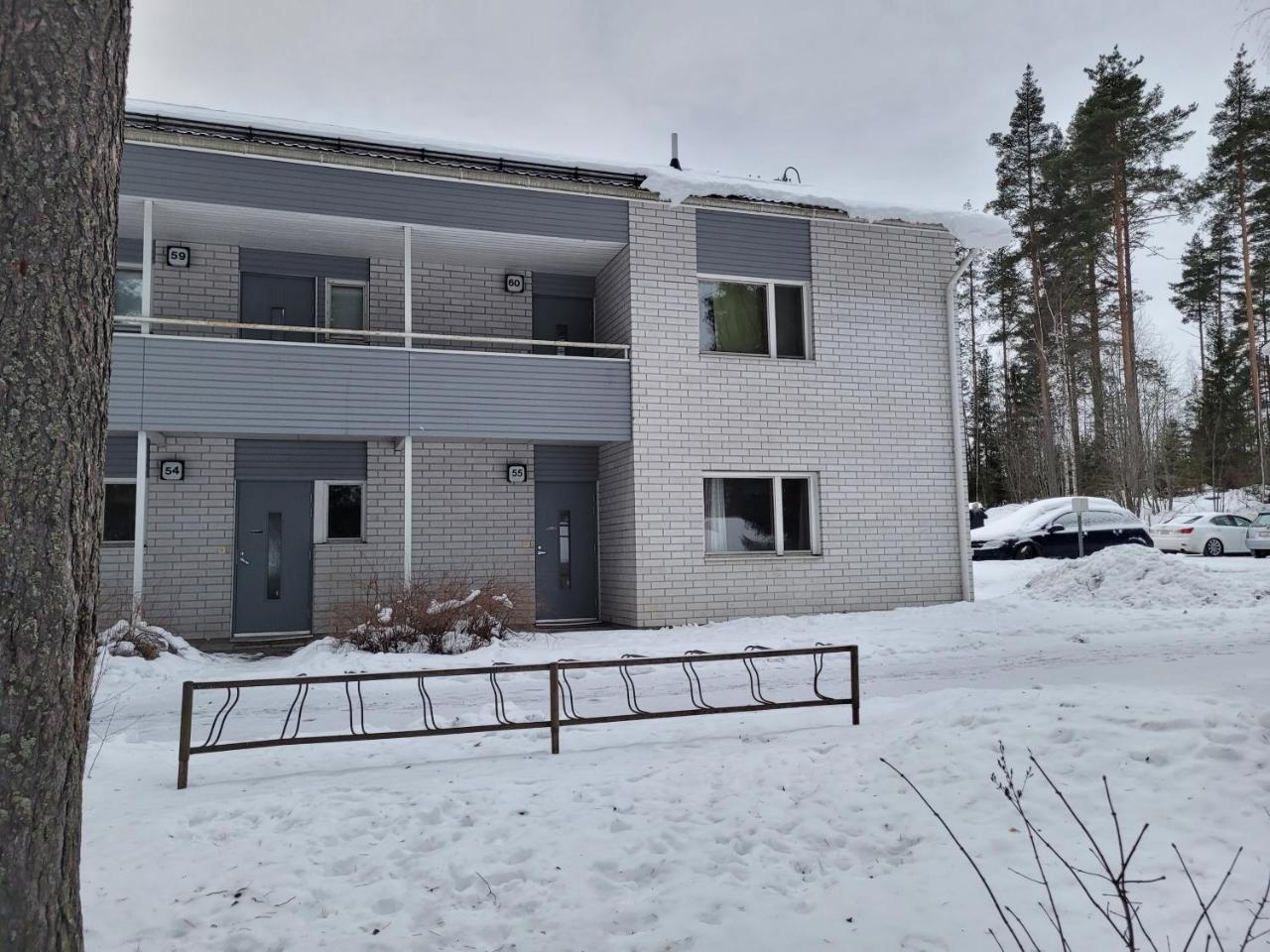 Harjukatu — Aeaenekoski — photo 5