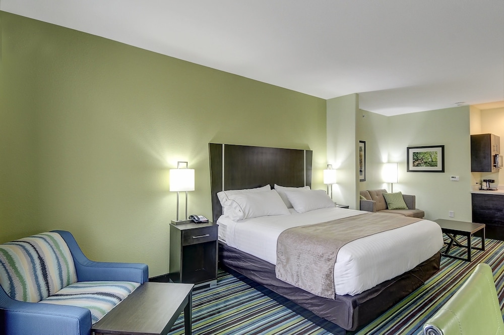 Holiday Inn Express & Suites Carrizo Springs by IHG - photo 2