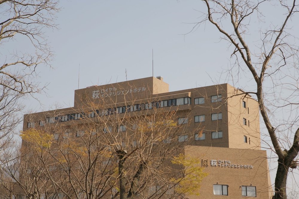 Hagi Royal Intelligent Hotel — Hagi — photo 2