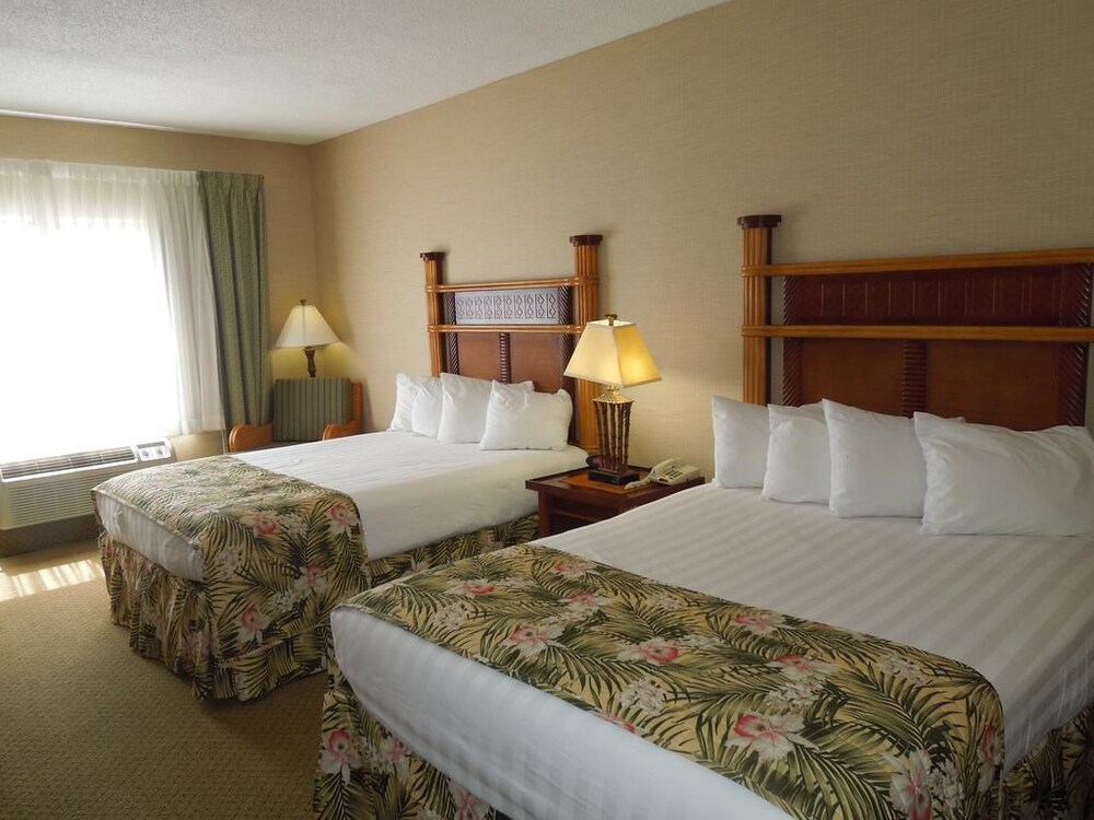 Maui Sands Resort & Indoor Waterpark - photo 14