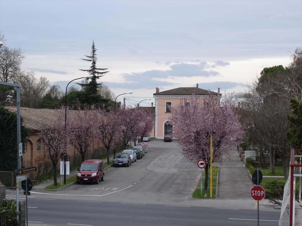 Al Flor — Bagnacavallo — photo 3