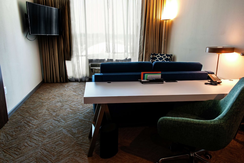 Hilton Garden Inn Dallas at Hurst Conference Center - photo 26