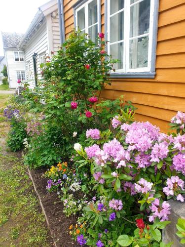 Kvammehuset på Gamle Lærdalsøyri — Laerdalsoyri — photo 5