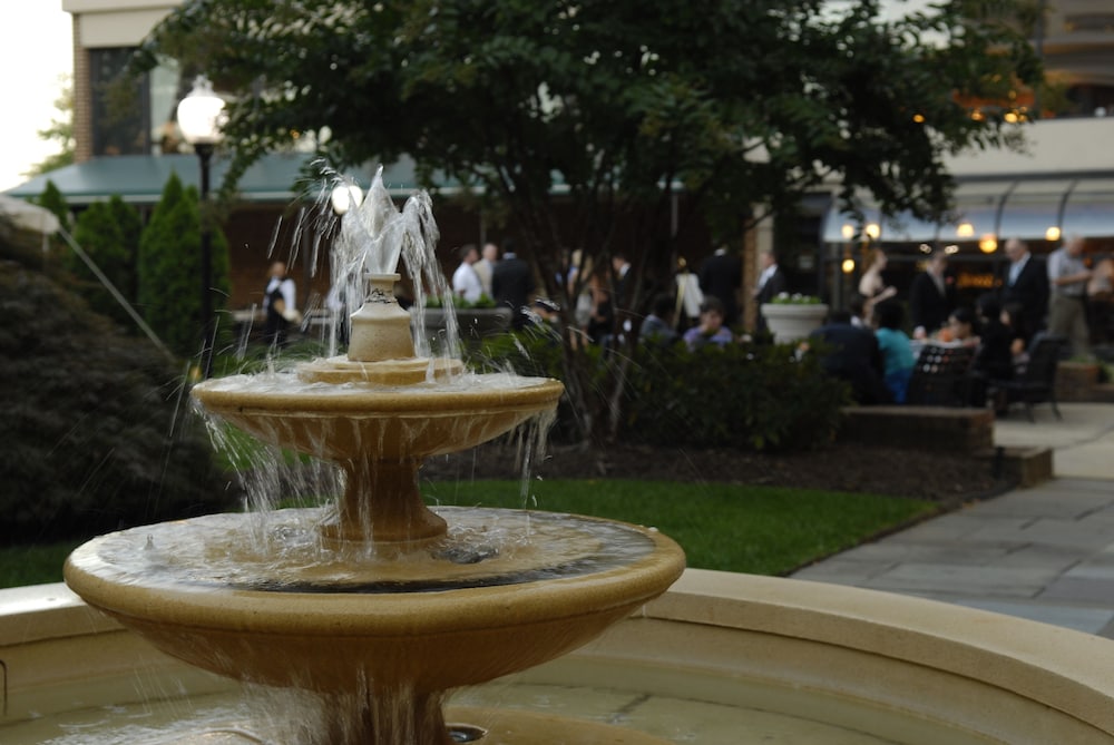 Doubletree by Hilton McLean Tysons - photo 60