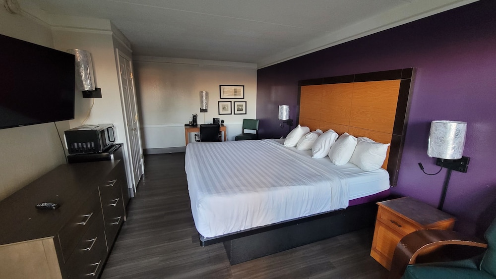 Palm Bliss Hotel Corpus Christi South - photo 4