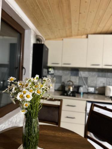 Tbilisi Travel Nest