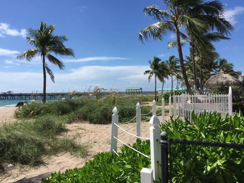 High Noon Beach Resort - photo 32