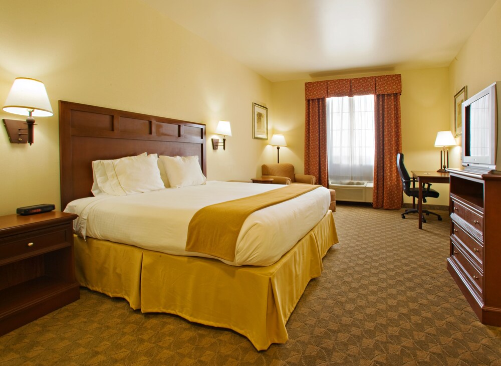 Holiday Inn Express & Suites Levelland by IHG - photo 8