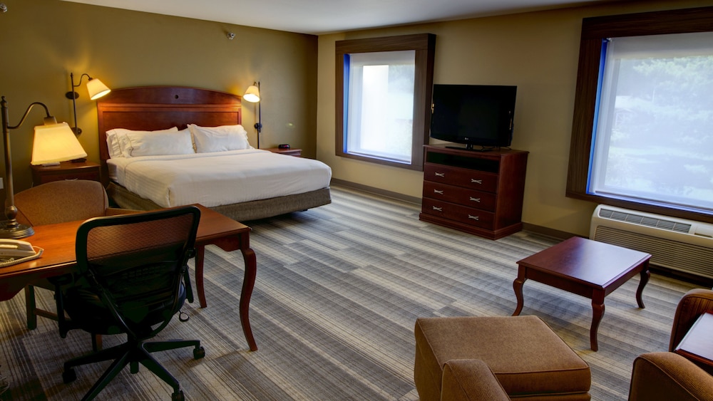 Holiday Inn Express & Suites Sioux City Southern Hills by IHG - photo 14