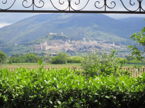 La Strada Di Francesco DAssisi — Assisi — photo 2