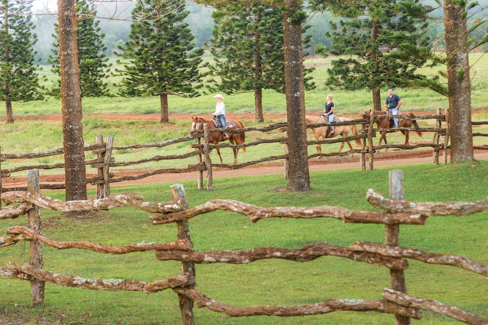 Four Seasons Resort Lanai - photo 95