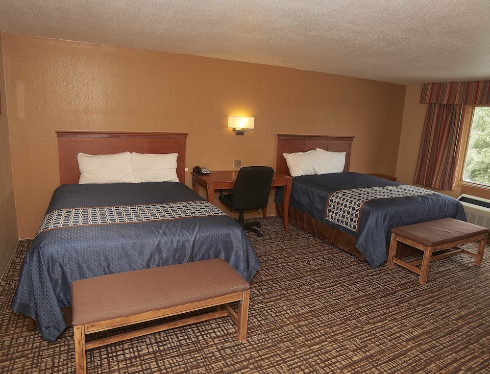 New World Inn - photo 16