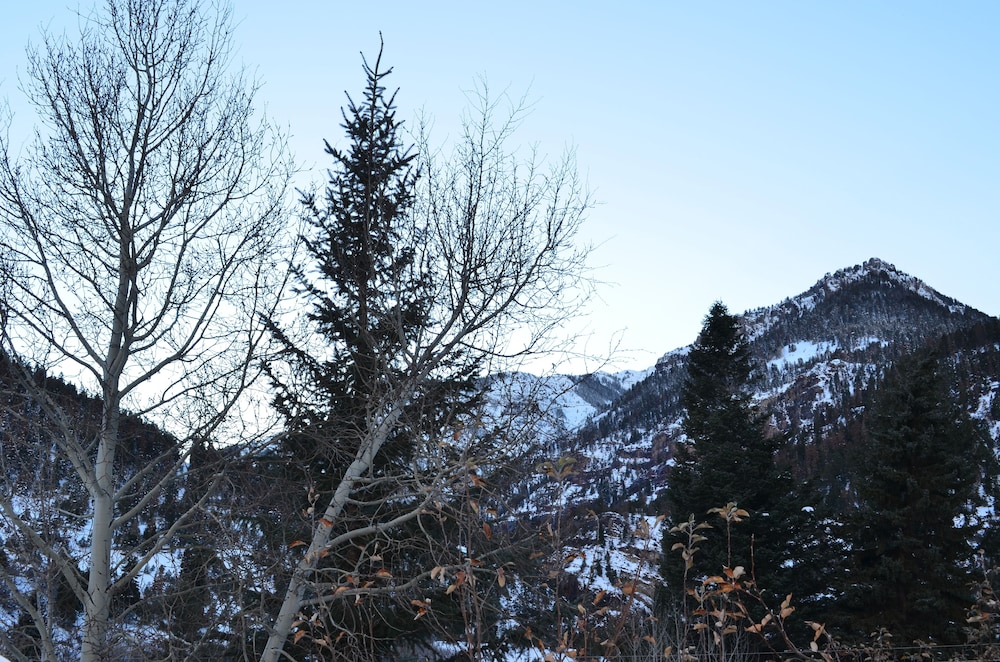 Ouray Main Street Inn - photo 92