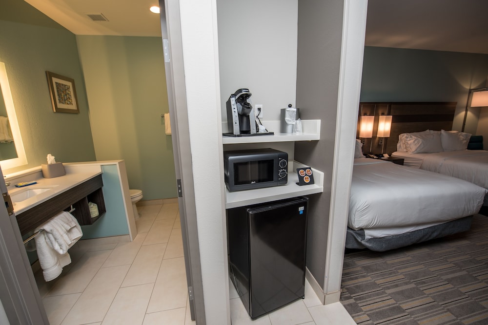 Holiday Inn Express & Suites Lake Charles South Casino Area by IHG - photo 38