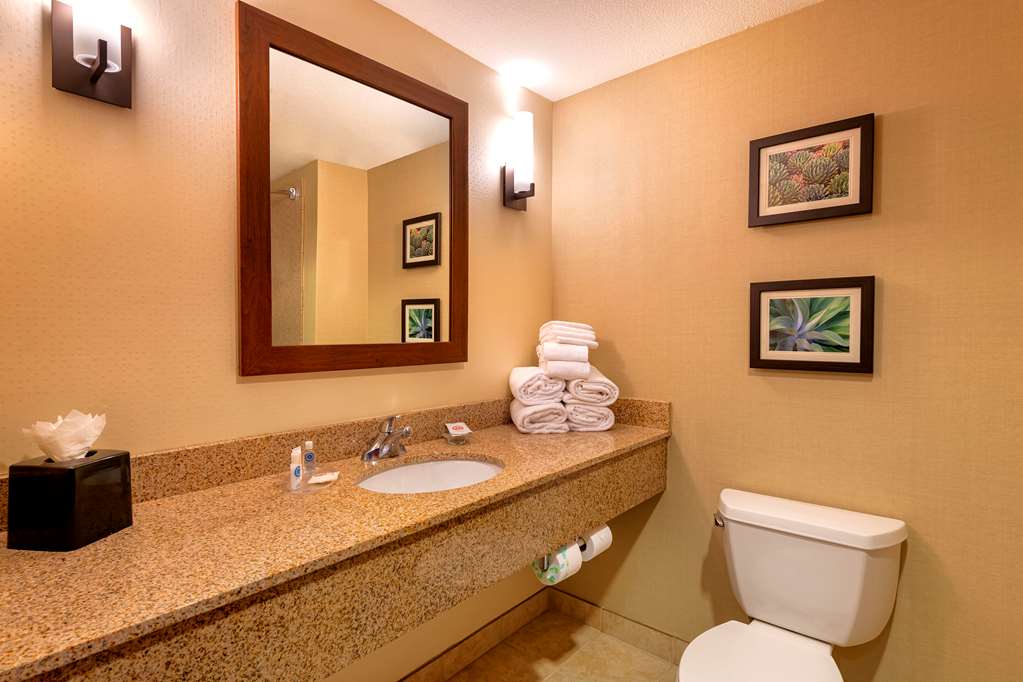Comfort Suites Goodyear West Phoenix - photo 39