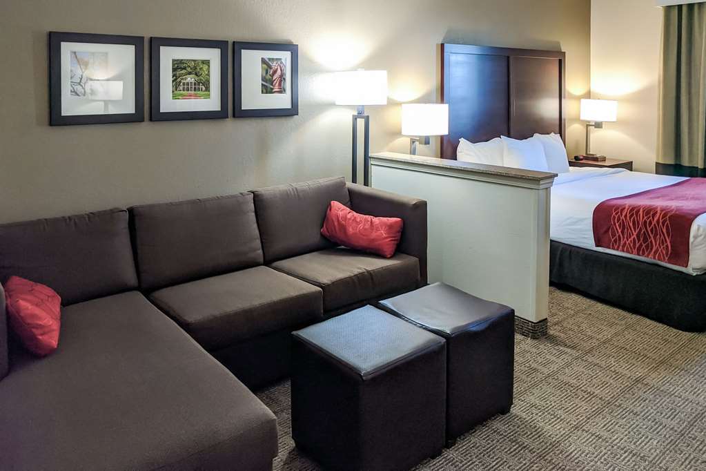 Comfort Inn Marrero New Orleans West - photo 14