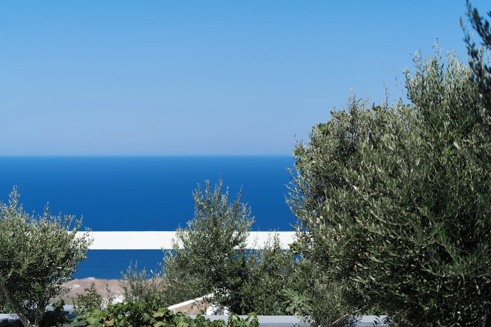 מראה חיצוני