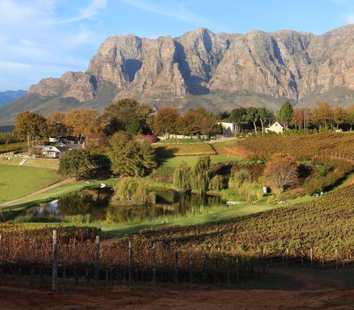 Alluvia Specialist Winery & Guesthouse — 5-Star Luxury Hotel in Stellenbosch, South Africa