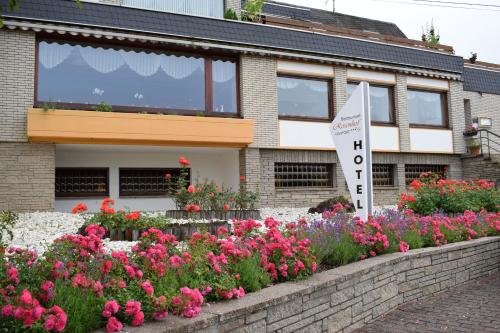 Hotel Rosenhof - last minute hotel in Koblenz
