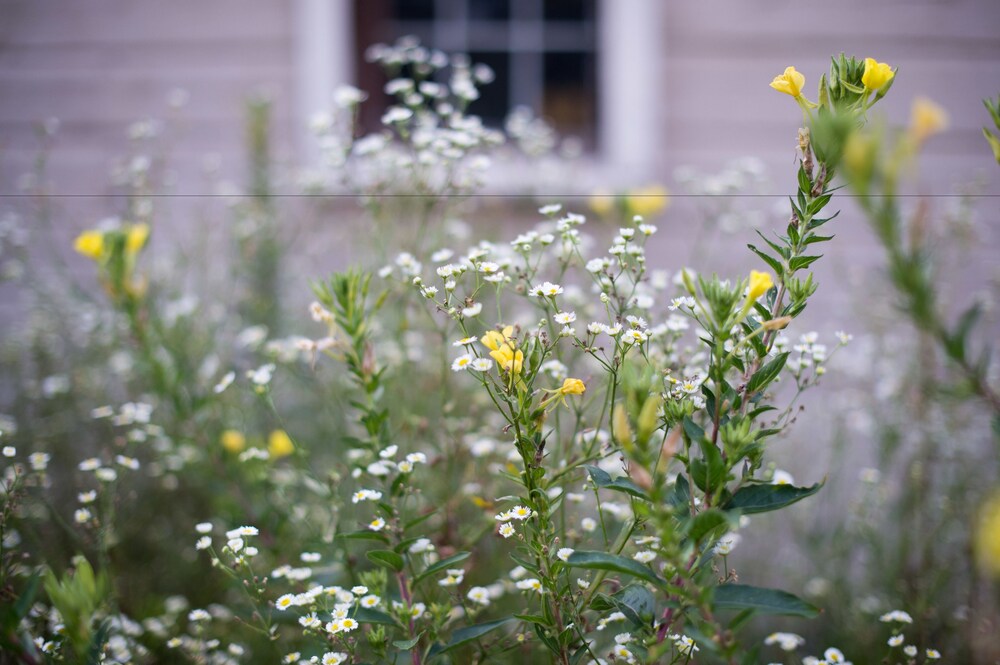 Vanderbilt Lakeside - photo 98