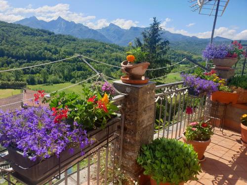 La Codirossa magnificent view - last minute hotel in Unknown City