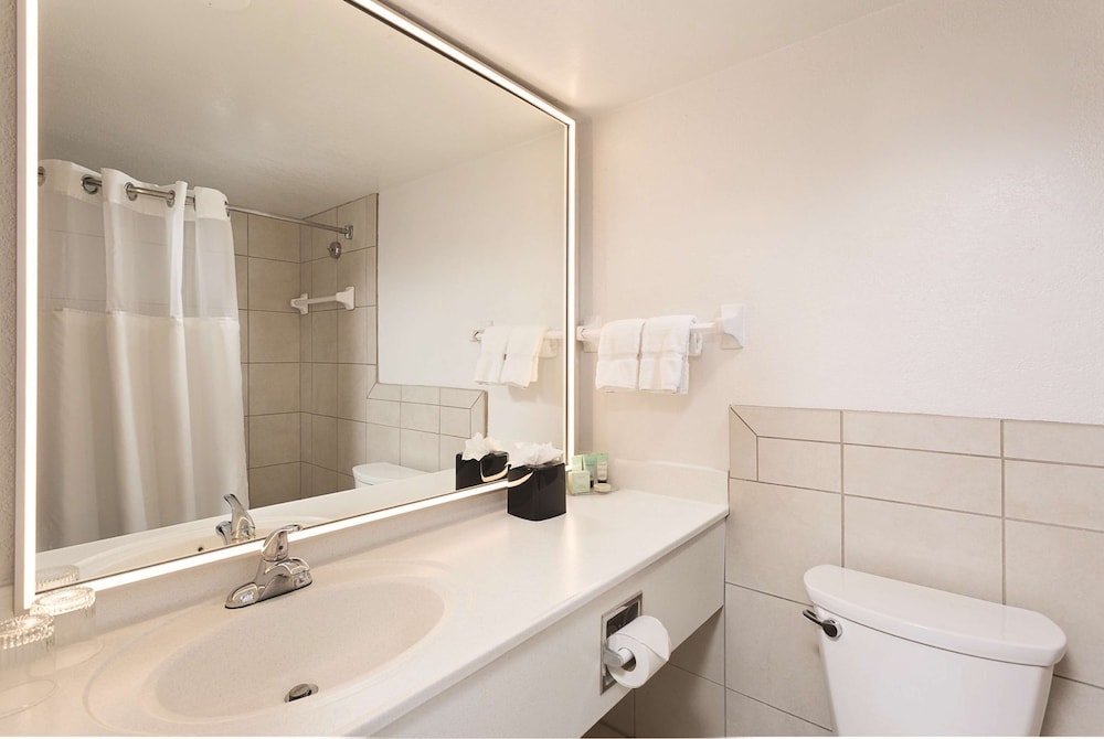 St Pete Shores Hotel - photo 26
