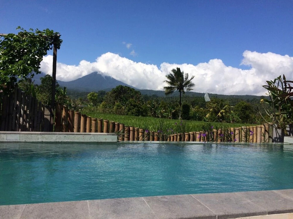 The Champuhan Honeymoon Villa Rice Field View — 4-Star Luxury Hotel in Bali, Indonesia