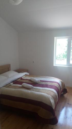 Guesthouse Gama in Khevsureti