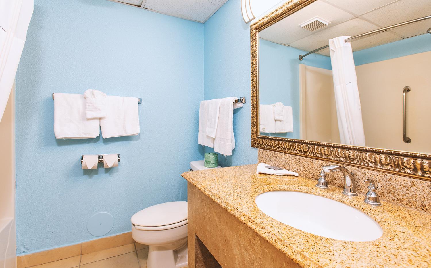 Sky Palace Inn & Suites Wichita East - photo 15