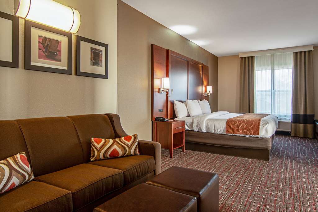 Comfort Suites NW Dallas Near Love Field - photo 32