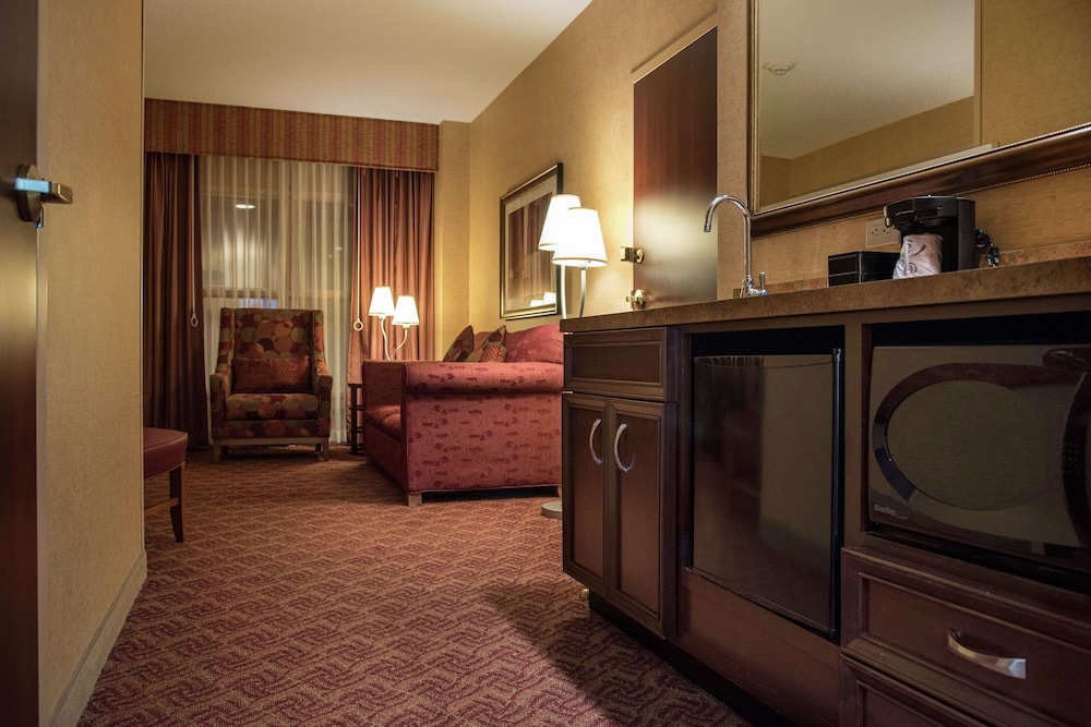 Embassy Suites by Hilton Charlotte Concord Golf Resort & Spa - photo 27