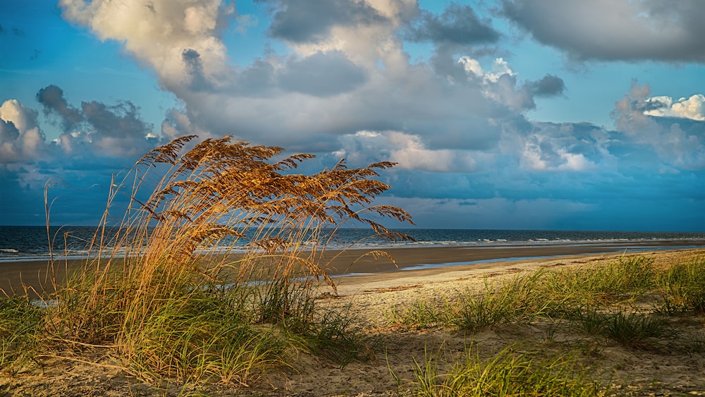 Disney's Hilton Head Island Resort - photo 45