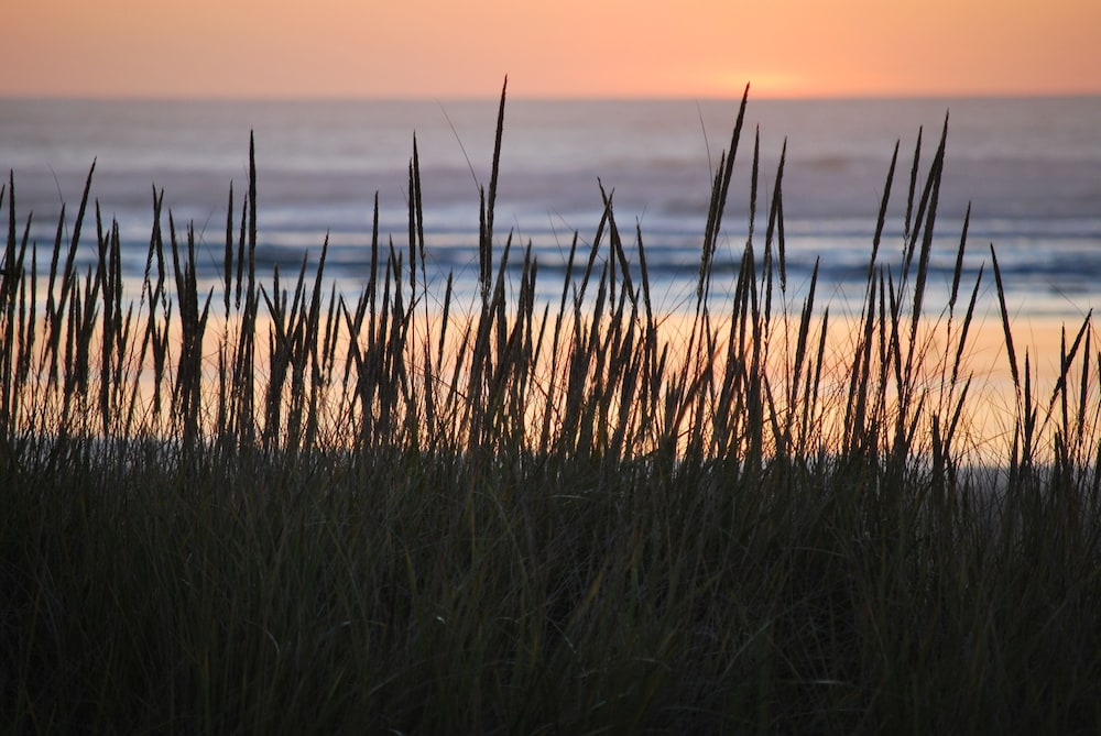 Inn at the Shore - photo 89