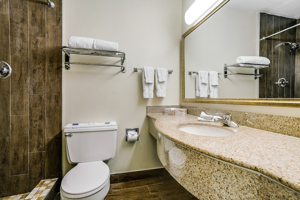 Quality Inn & Suites Dallas Cityplace - photo 14