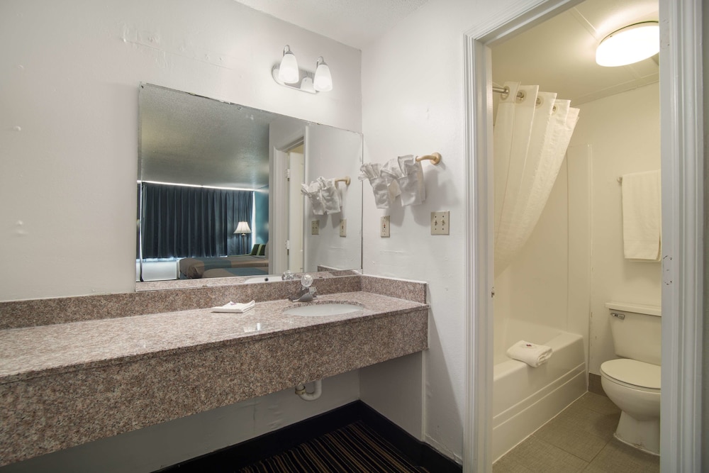 American INN of Orangeburg - photo 41