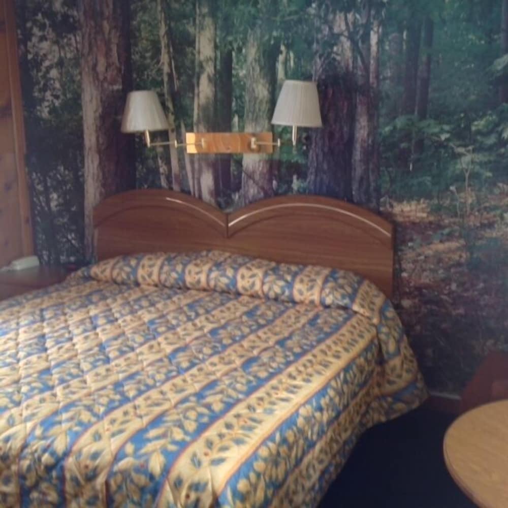 Sun 'N Snow Hotel - photo 5