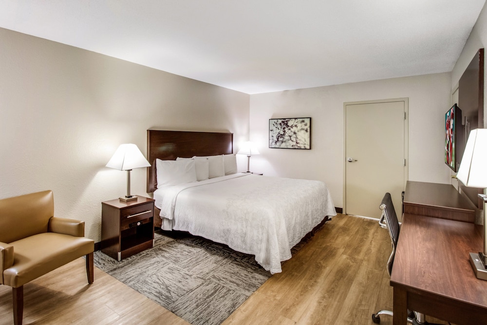 Red Roof Inn PLUS Dallas Addison - photo 23