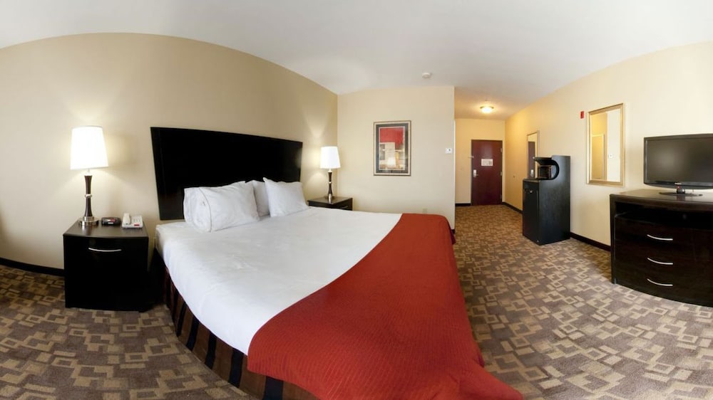 Holiday Inn Express &Suites Snyder by IHG - photo 3