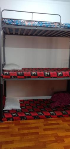 Dormitory bed space in a shared room in Sharjah, United Arab Emirates
