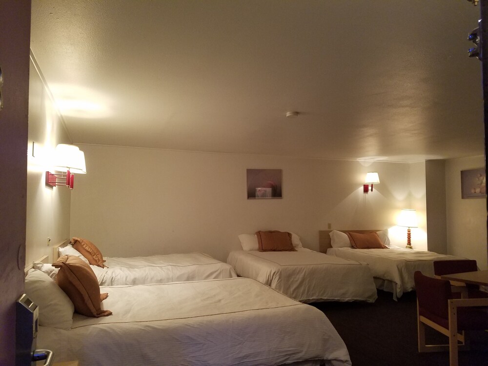 Downtown Xenion Motel - photo 5